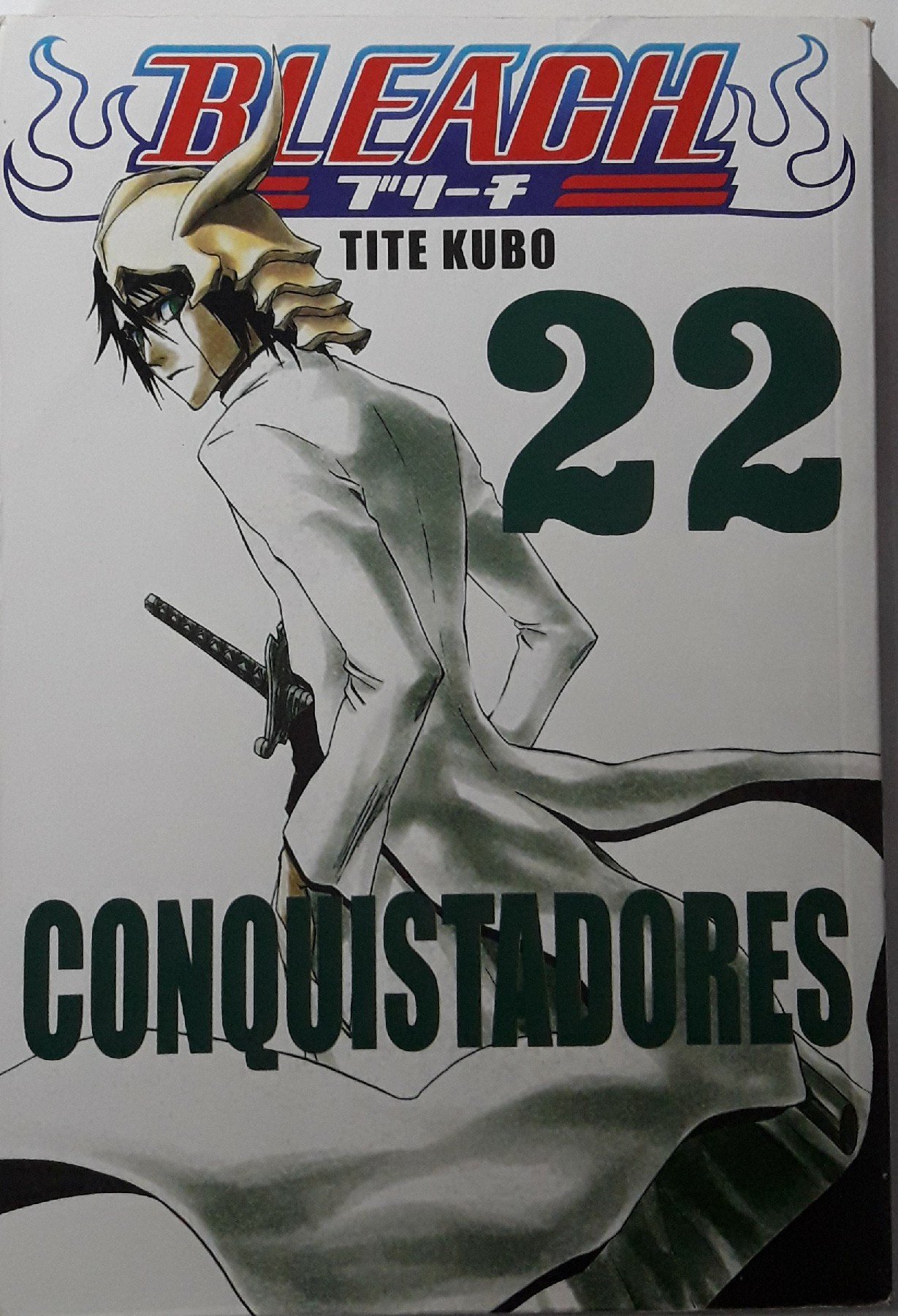 Bleach - Vol.22